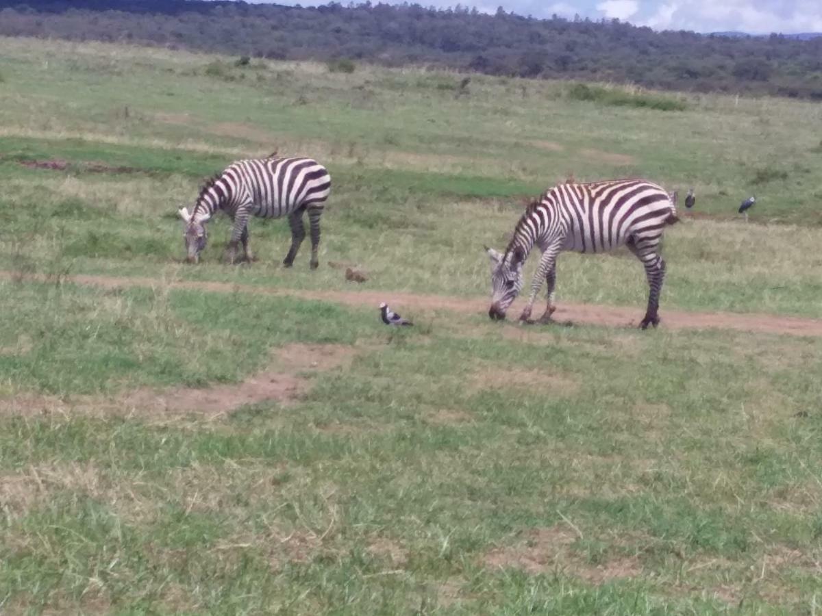 Ann Airport Home And Tour Nairobi Exterior foto